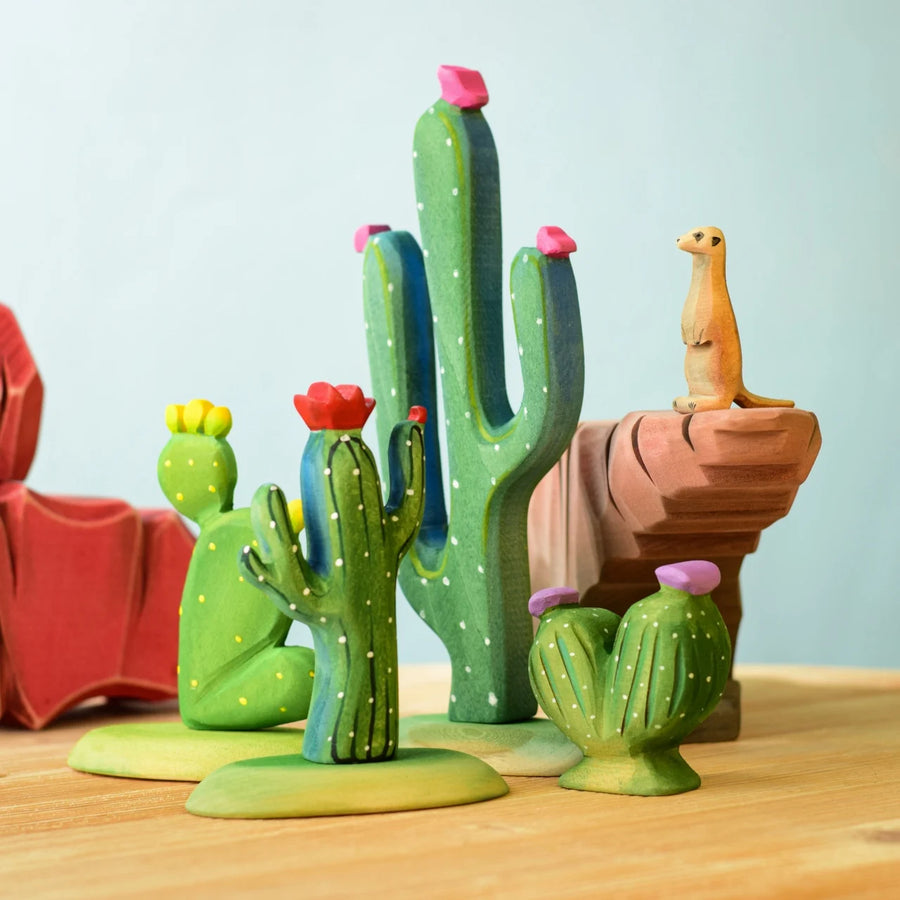 Bumbu Pin Cushion Cactus