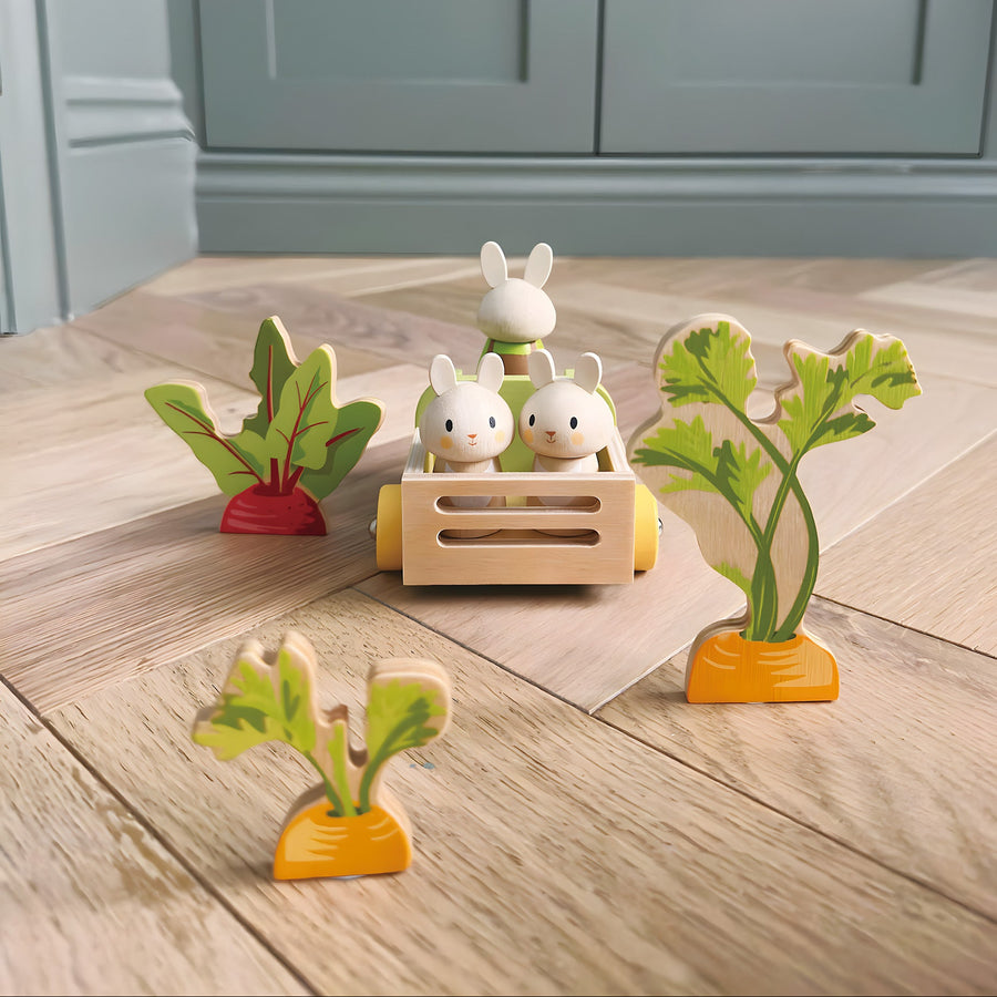 Tender Leaf Bunny's Carrot Patch