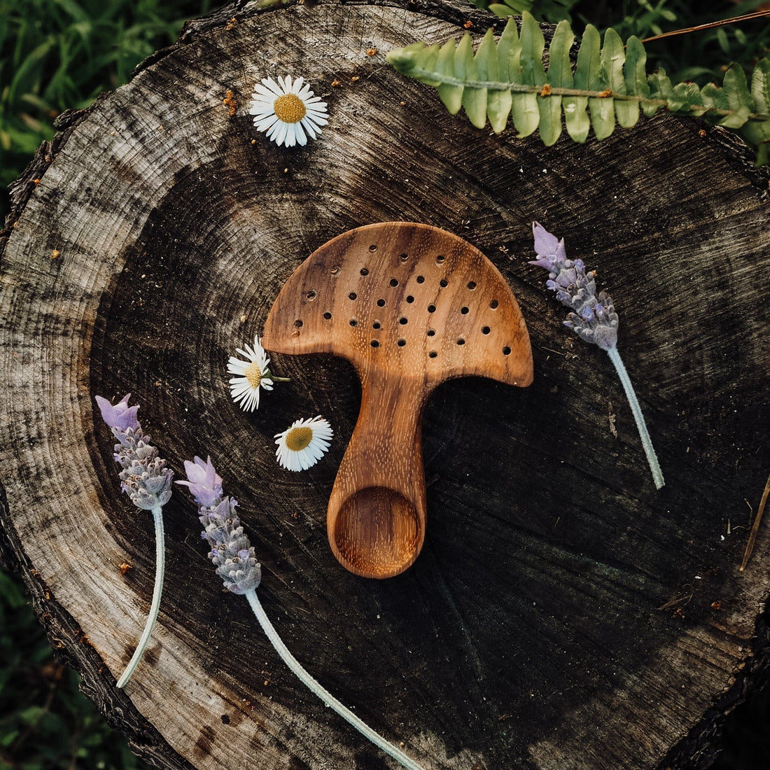 Wild Mountain Child Mushroom Multi Tool