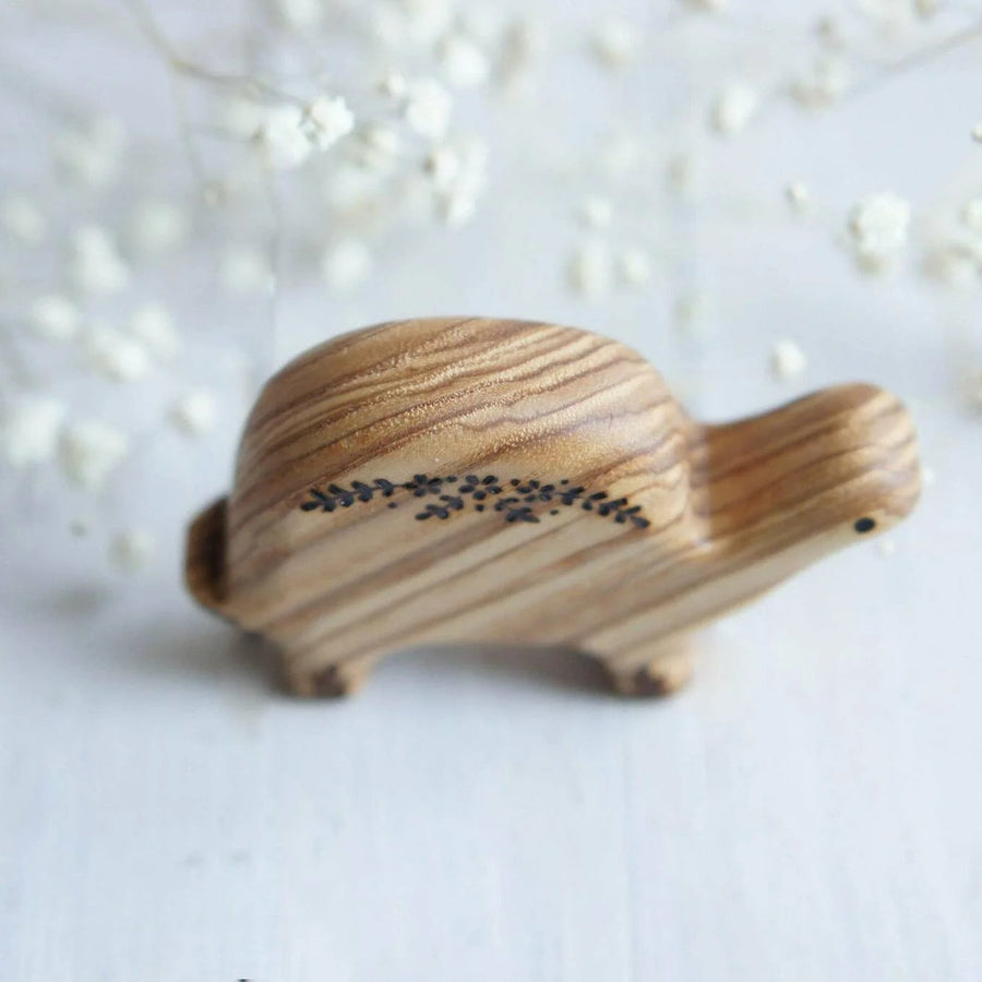 Wooden Turtle