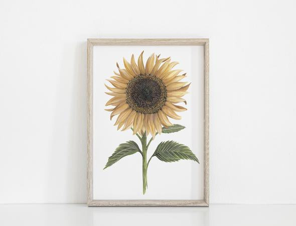 Floral & Fern Sunflower Print