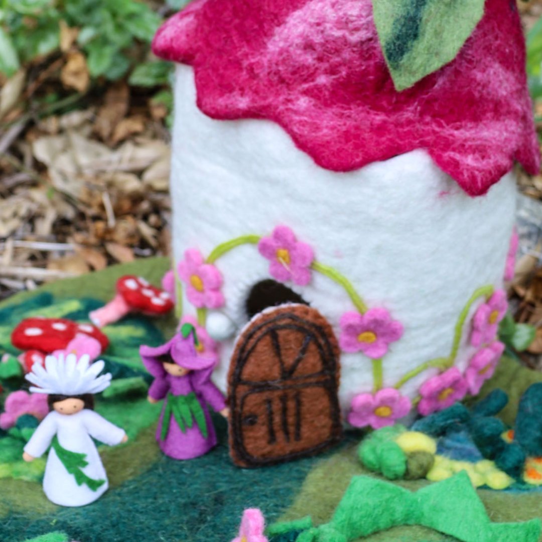 Fairies & Gnomes