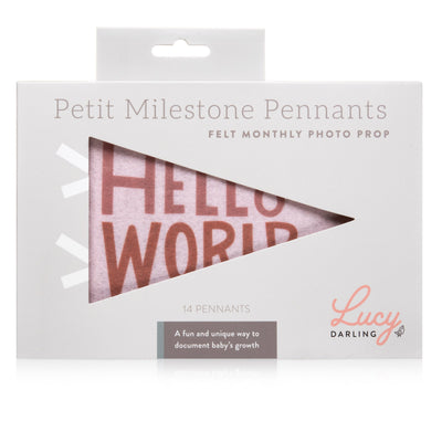 Lucy Darling Mountain Fields Petit Milestone Pennant