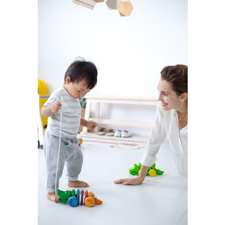 Plan Toys Rainbow Alligator