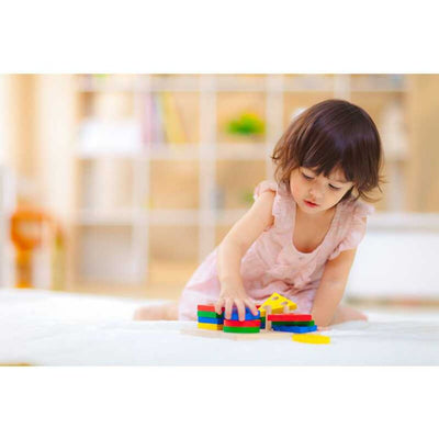 Plan Toys Geometric Sorting Board