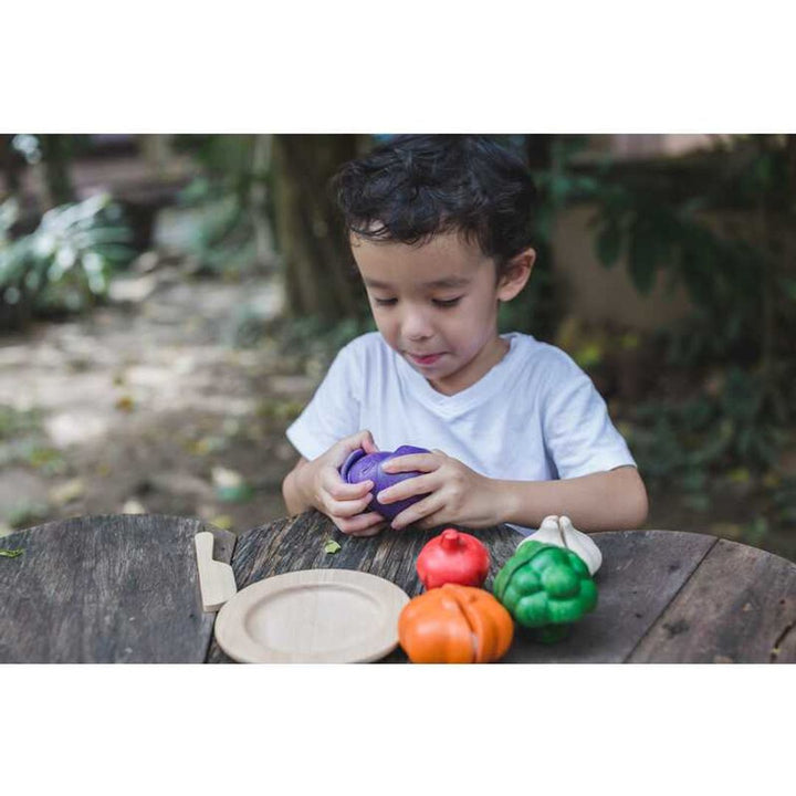 Plan Toys 5 Colors Veggie Set