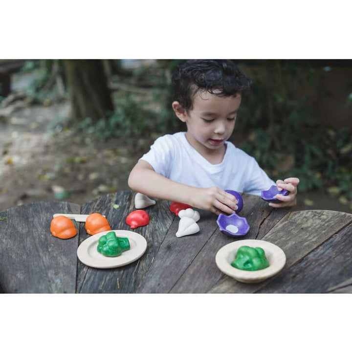 Plan Toys 5 Colors Veggie Set