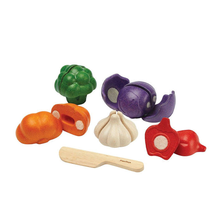 Plan Toys 5 Colors Veggie Set
