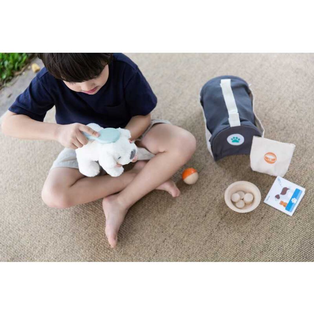 Plan Toys Pet Care Set