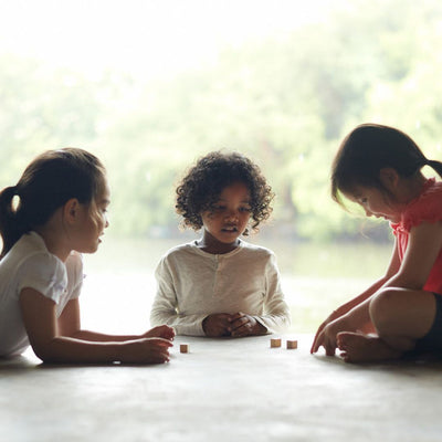 Plan Toys Memo Game - PlanMini