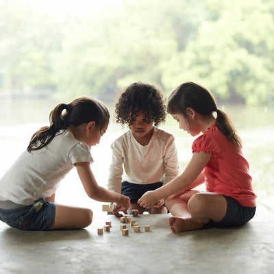 Plan Toys Memo Game - PlanMini