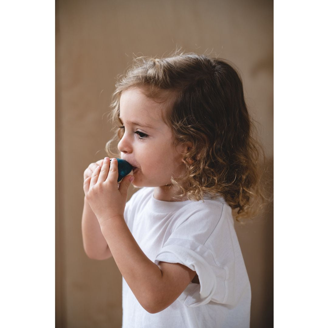 Plan Toys Dolphin Whistle