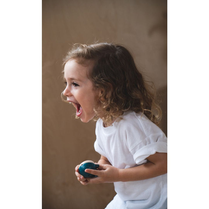 Plan Toys Dolphin Whistle