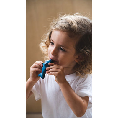 Plan Toys Dolphin Whistle