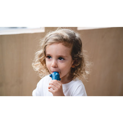 Plan Toys Dolphin Whistle