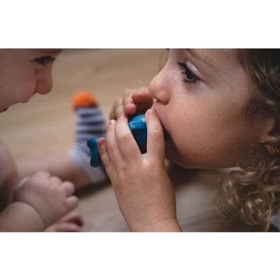 Plan Toys Dolphin Whistle