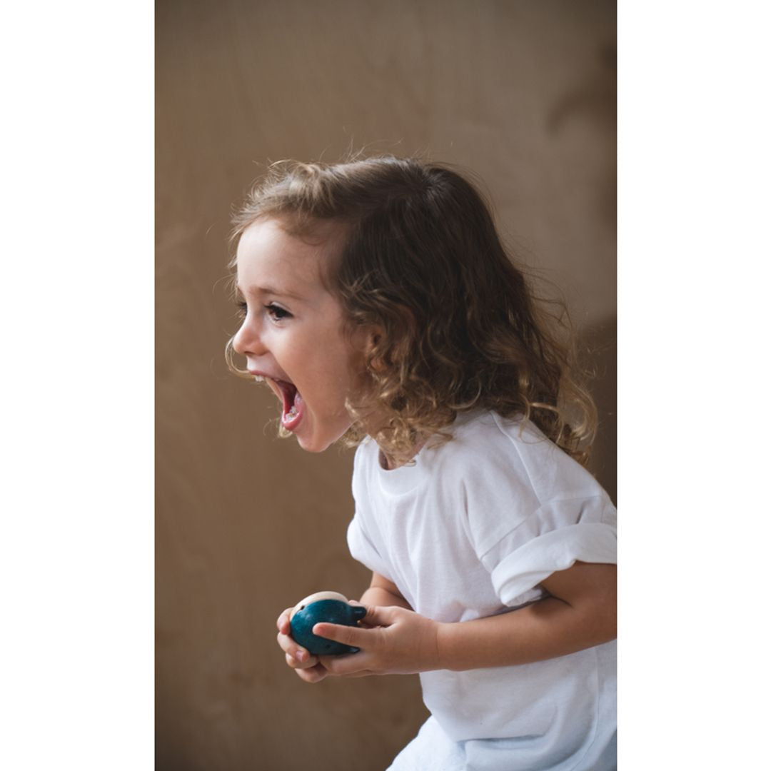 Plan Toys Whale Whistle