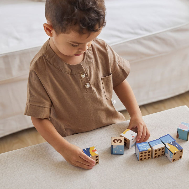 Plan Toys Animal Puzzle Cubes