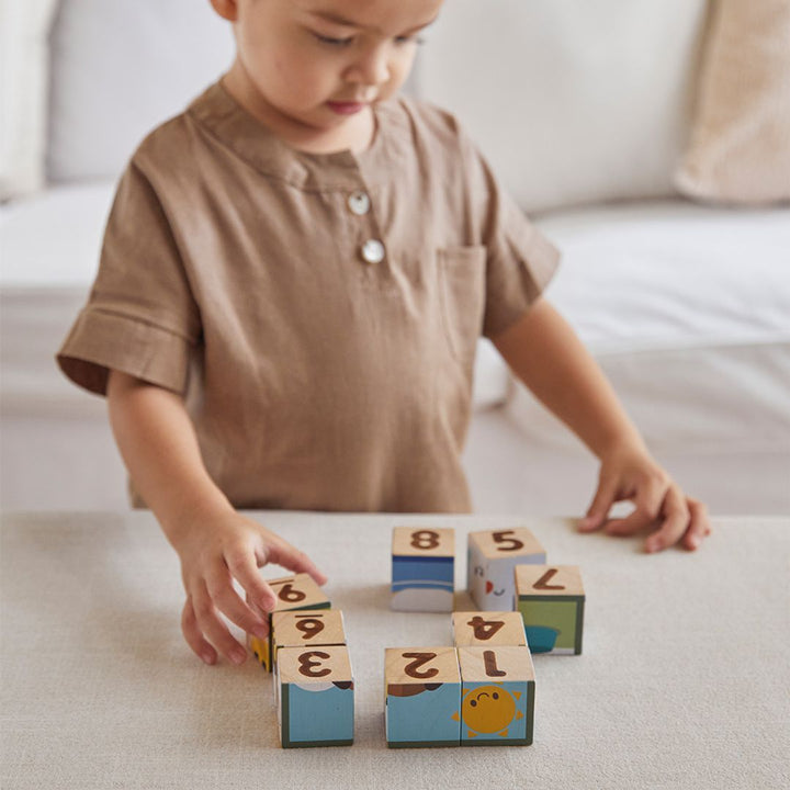Plan Toys Animal Puzzle Cubes