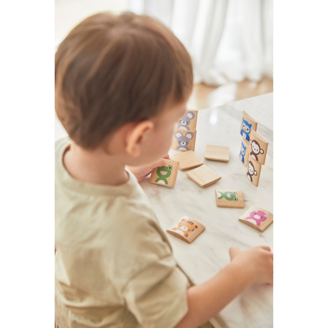 Plan Toys Animals Memo