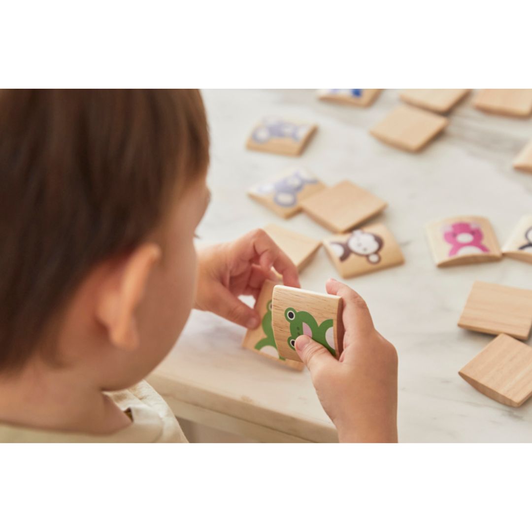 Plan Toys Animals Memo