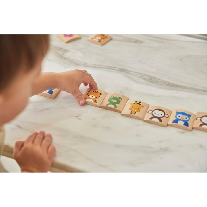 Plan Toys Animals Memo