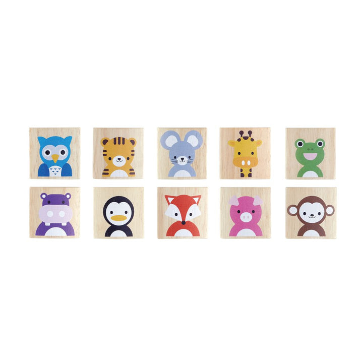 Plan Toys Animals Memo
