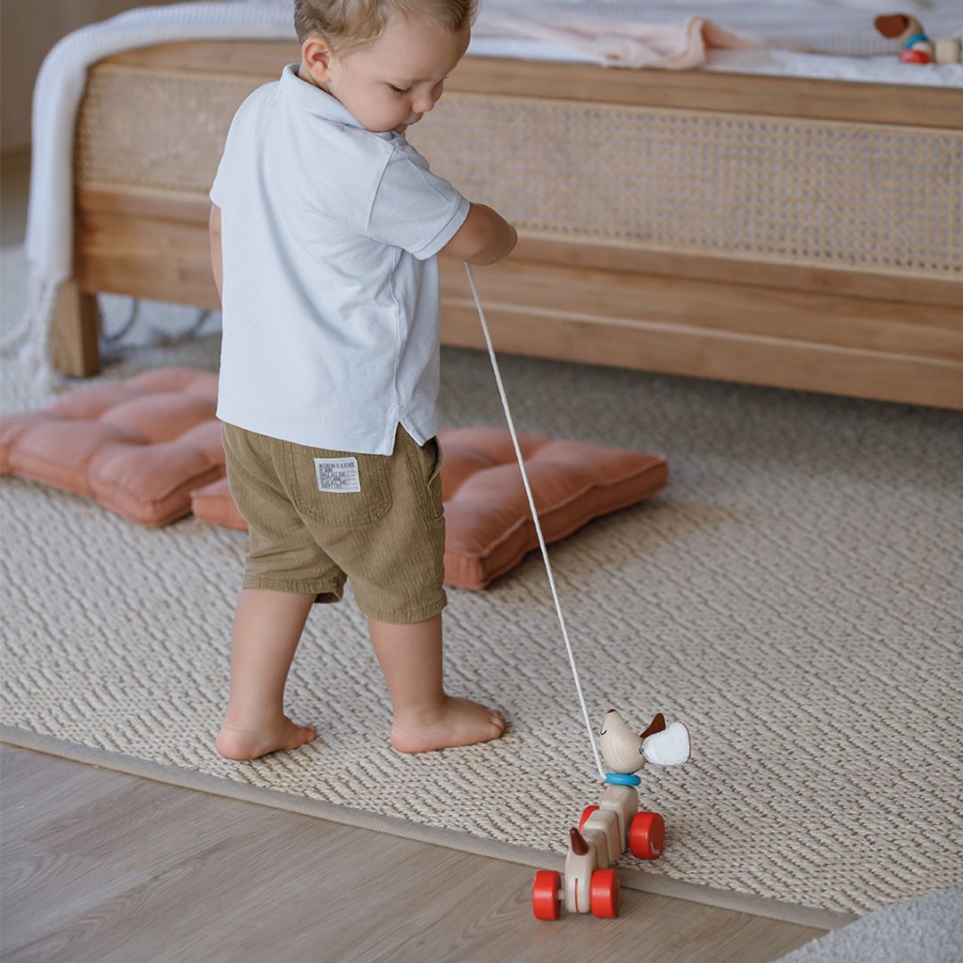 Plan Toys Happy Puppy
