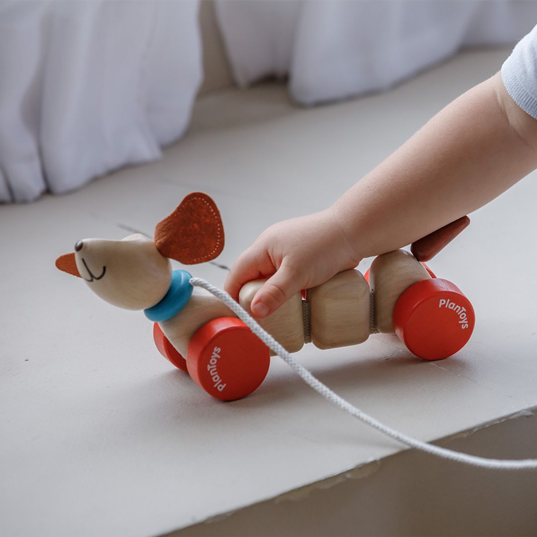 Plan Toys Happy Puppy