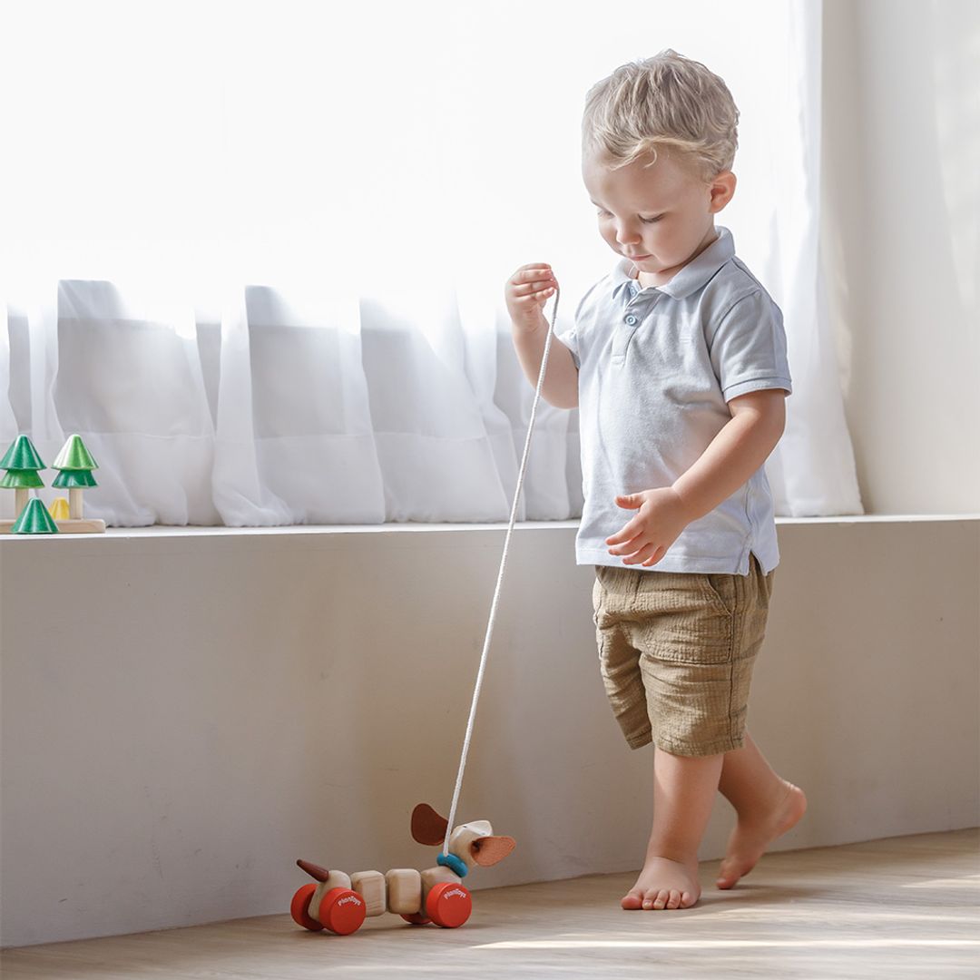 Plan Toys Happy Puppy