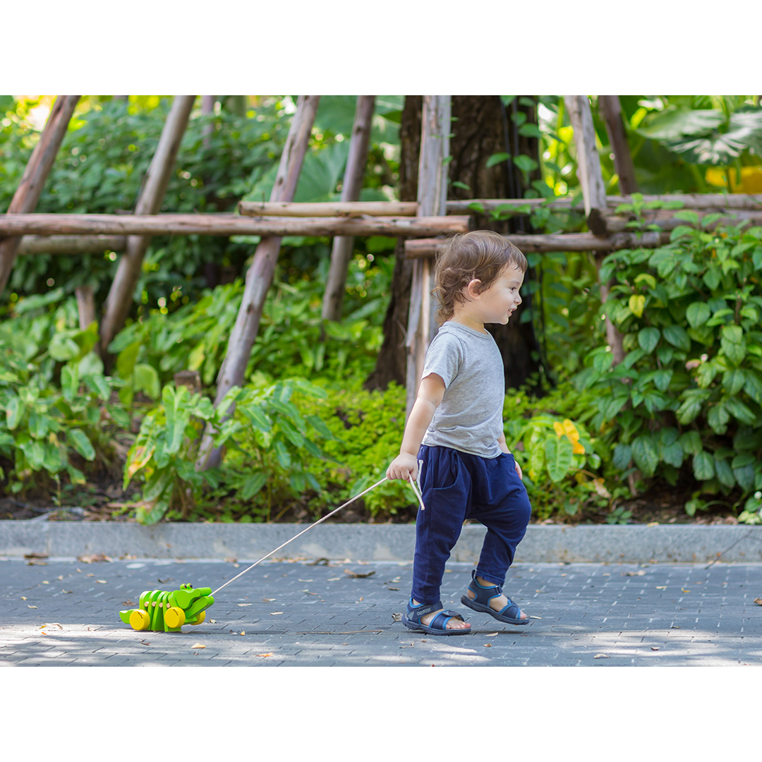 Plan Toys Dancing Alligator