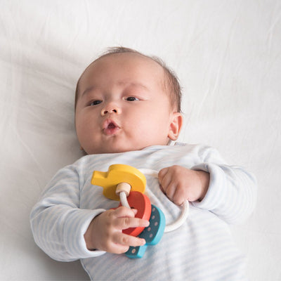 Plan Toys Baby Key Rattle