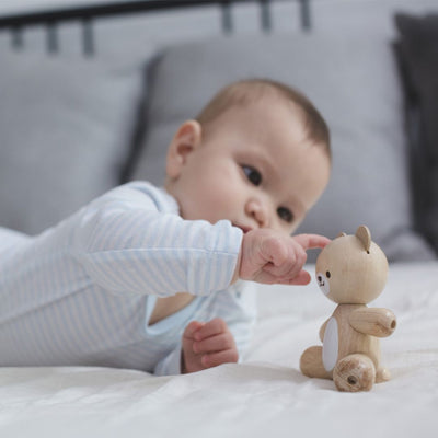 Plan Toys Bear