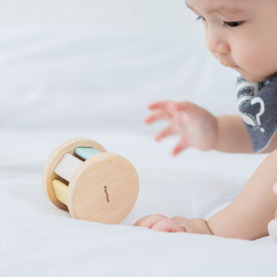 Plan Toys Roller - Pastel
