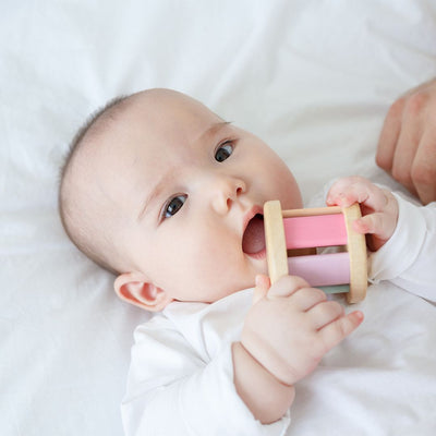 Plan Toys Roller - Pastel