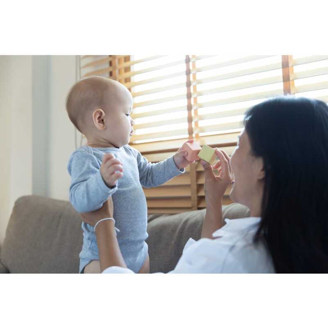 Plan Toys Sensory Blocks