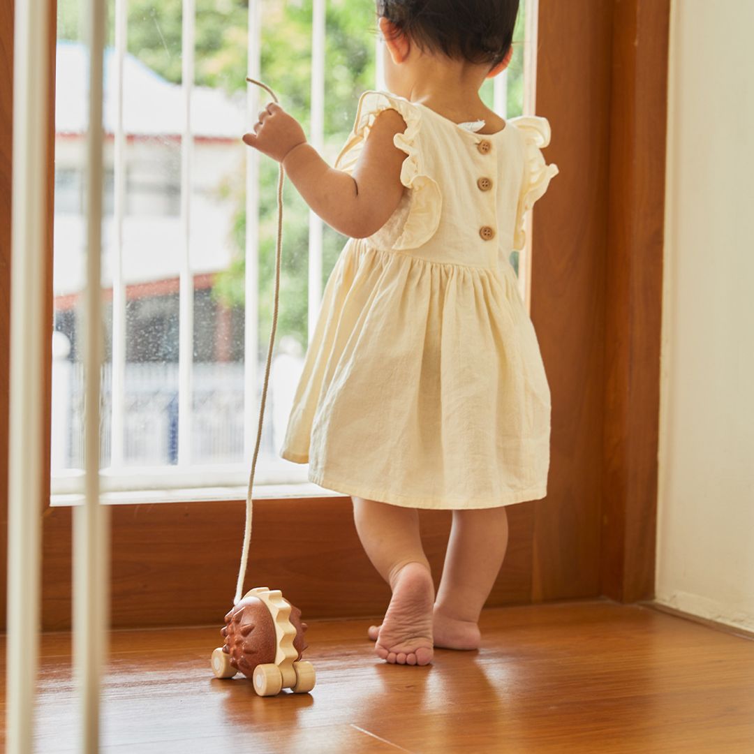 Plan Toys Pull-Along Hedgehog - Brown