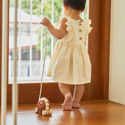 Plan Toys Pull-Along Hedgehog - Brown