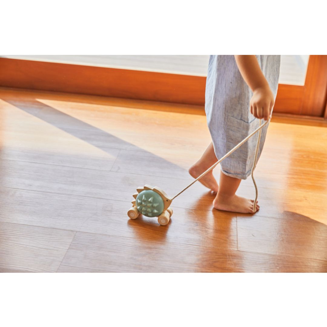 Plan Toys Pull-Along Hedgehog - Blue