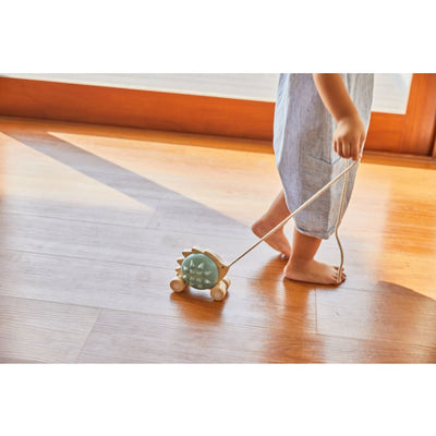 Plan Toys Pull-Along Hedgehog - Blue