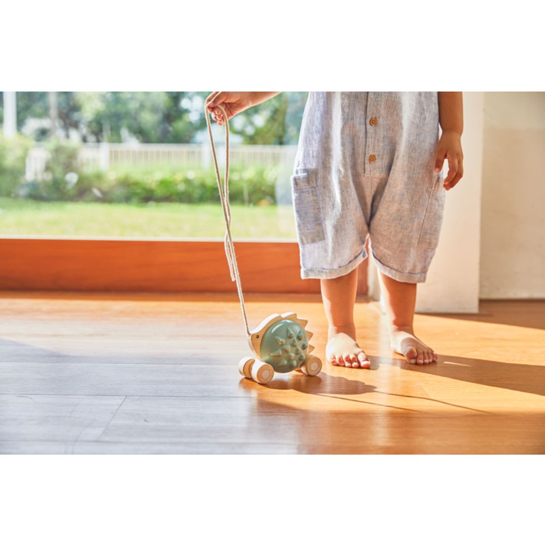 Plan Toys Pull-Along Hedgehog - Blue