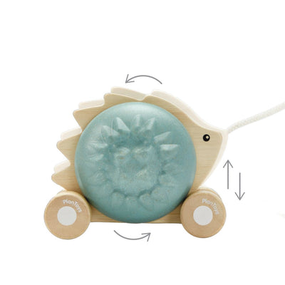 Plan Toys Pull-Along Hedgehog - Blue