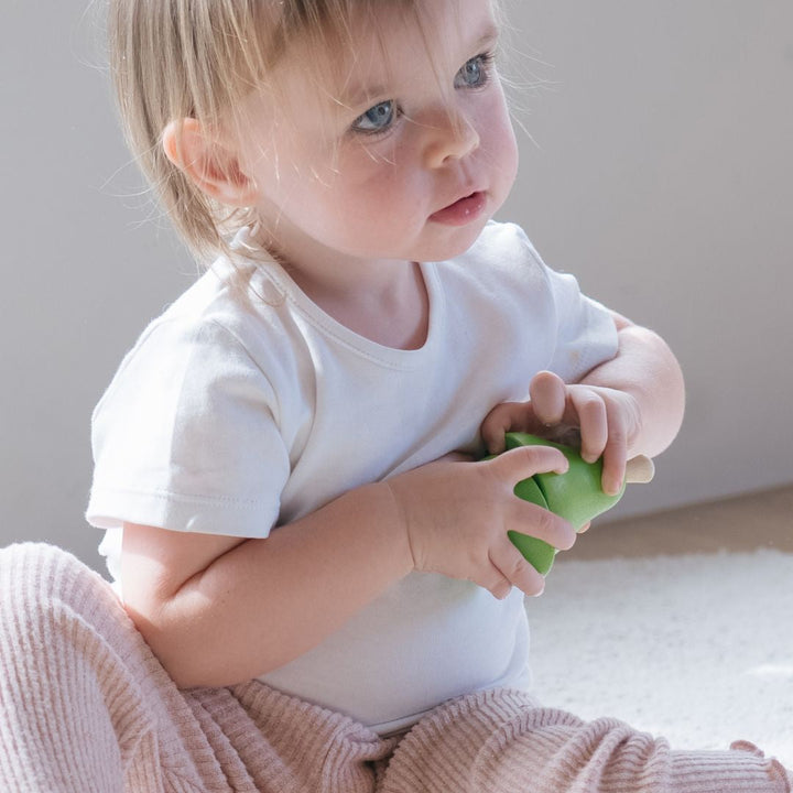Plan Toys Fruit &amp; Vegetable Play Set