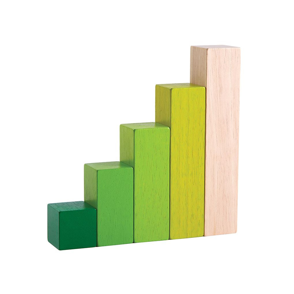 Plan Toys Ordering Blocks
