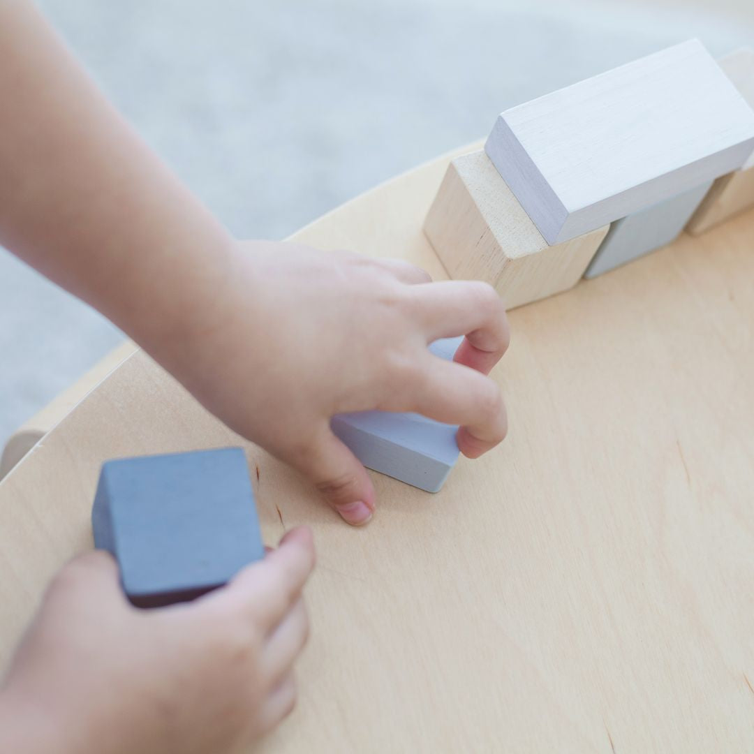 Plan Toys Fraction Blocks