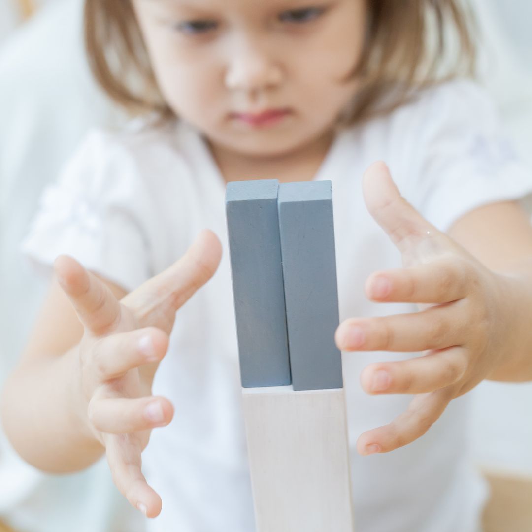 Plan Toys Fraction Blocks