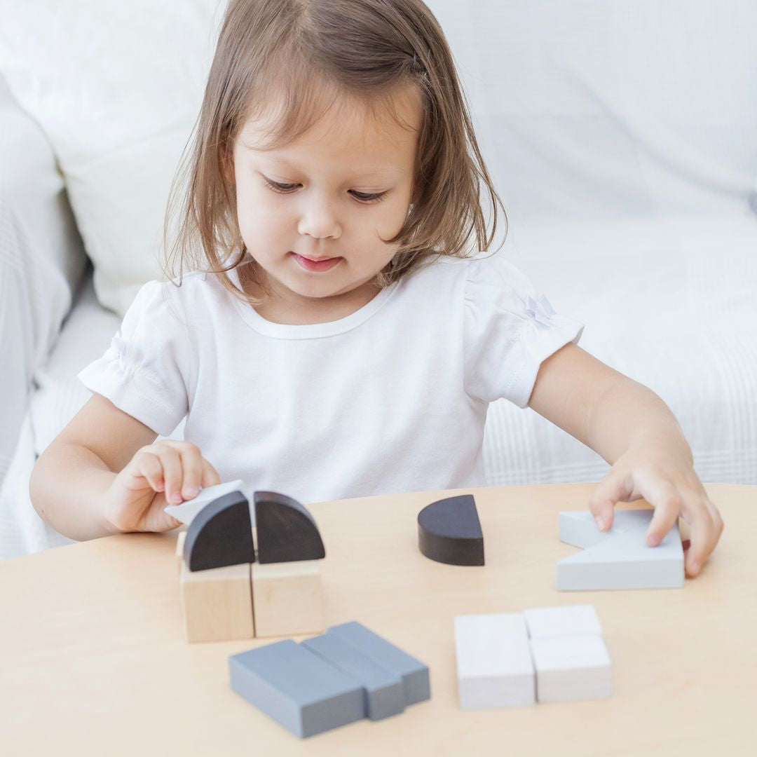 Plan Toys Fraction Blocks