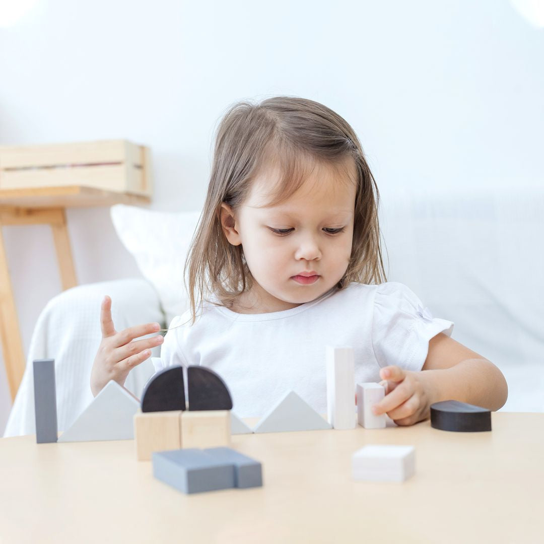 Plan Toys Fraction Blocks