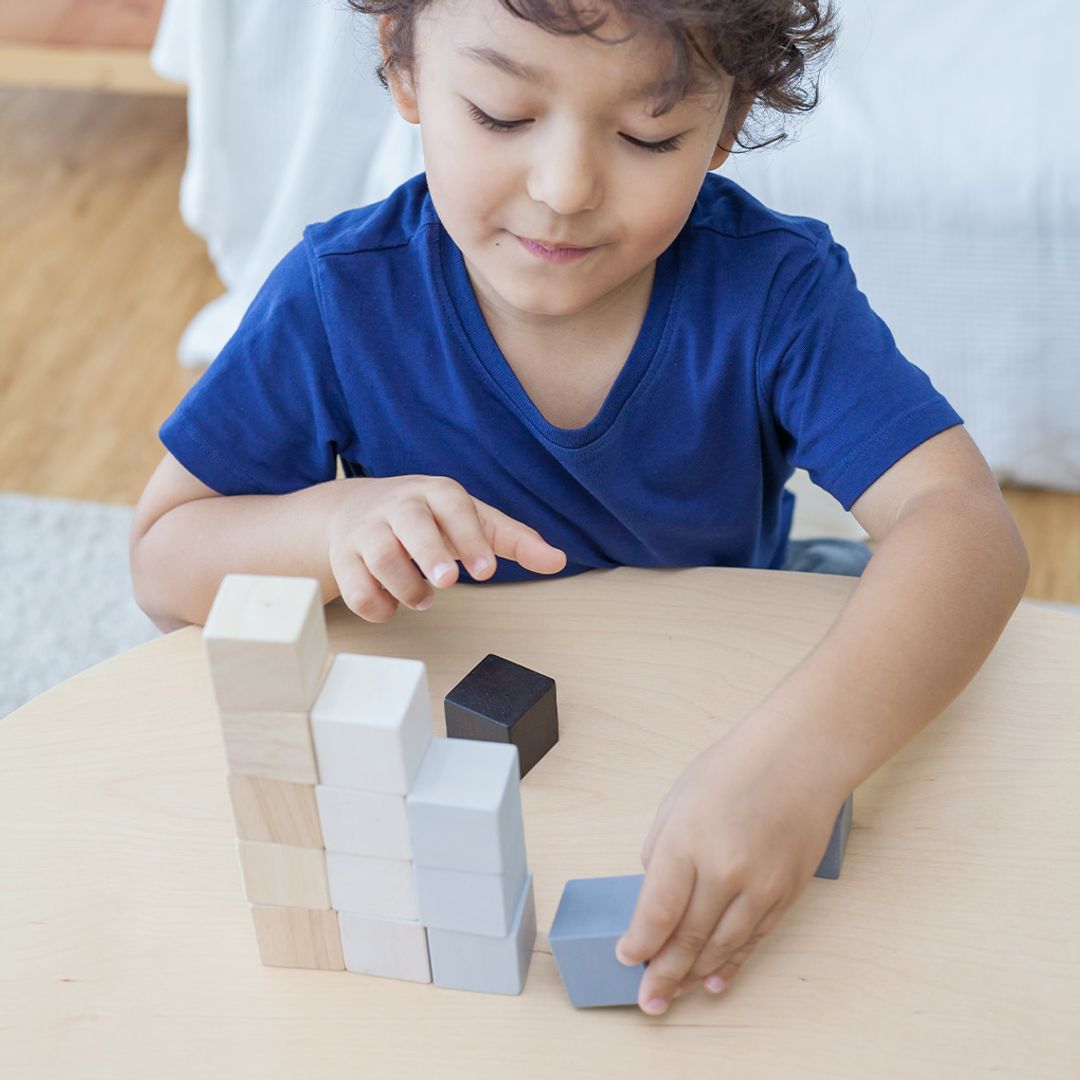 Plan Toys Cubes