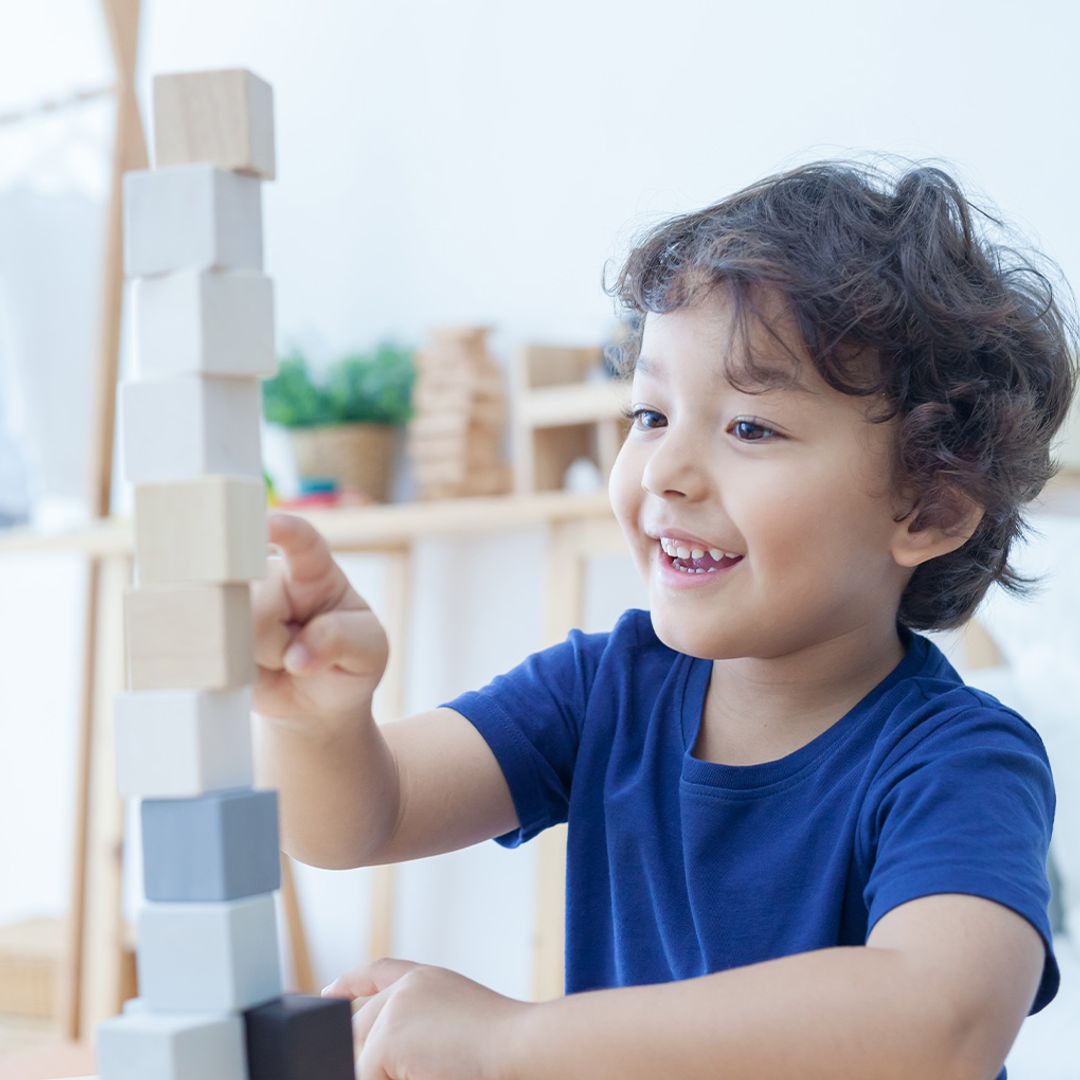 Plan Toys Cubes